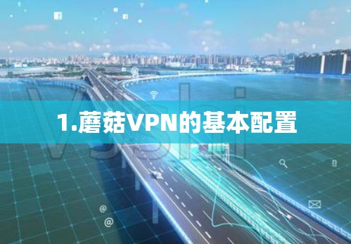 1.蘑菇VPN的基本配置