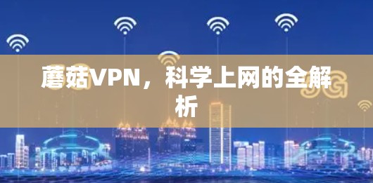 蘑菇VPN，科学上网的全解析