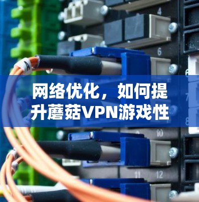 网络优化，如何提升蘑菇VPN游戏性能