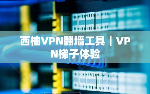 西柚VPN翻墙工具｜VPN梯子体验