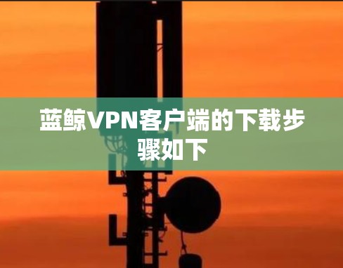 蓝鲸VPN客户端的下载步骤如下