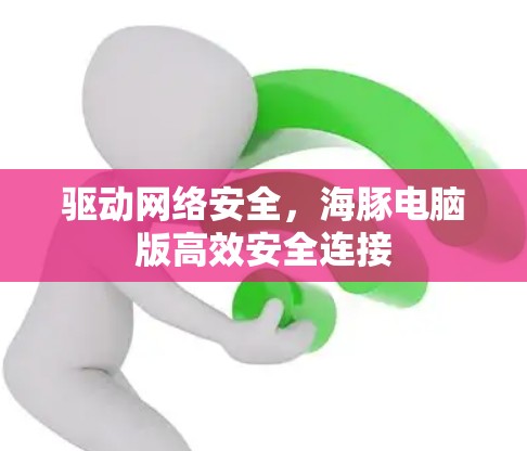 驱动网络安全，海豚电脑版高效安全连接