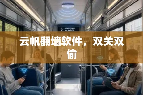 云帆翻墙软件，双关双偷