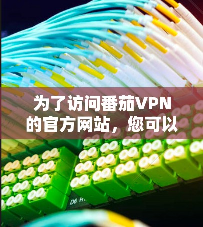 为了访问番茄VPN的官方网站，您可以按照以下步骤进行操作