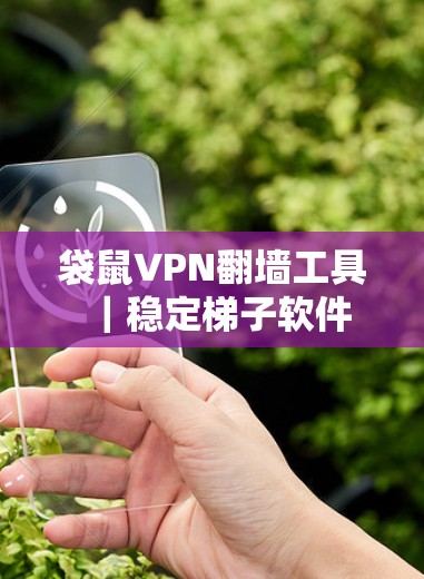 袋鼠VPN翻墙工具｜稳定梯子软件