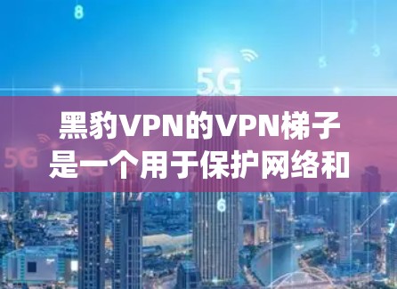 黑豹VPN的VPN梯子是一个用于保护网络和用户数据的多层网络架构。它通过设置多个连接层，确保即使网络被攻击，也无法轻松访问protected的网络或设备。以下是关于黑豹VPN梯子的一些关键信息和体验