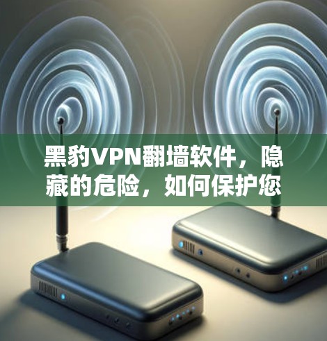 黑豹VPN翻墙软件，隐藏的危险，如何保护您的网络