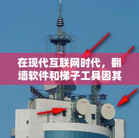在现代互联网时代，翻墙软件和梯子工具因其在移动设备和数据安全方面的独特需求而备受关注。以下是关于这两种工具的评测和分析