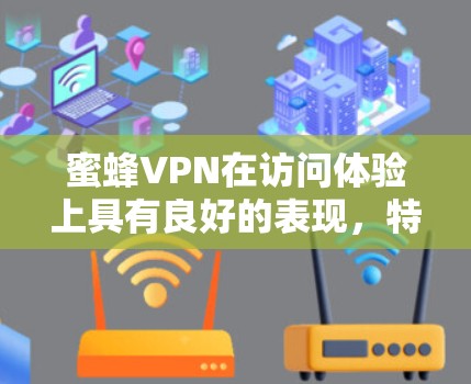 蜜蜂VPN在访问体验上具有良好的表现，特别是在安全性、界面便利性和用户隐私保护方面。以下是对其访问体验的详细分析