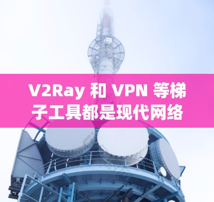 V2Ray 和 VPN 等梯子工具都是现代网络管理中的重要工具，但它们各有特点和适用场景。以下是对这两个工具的详细总结