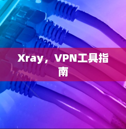 Xray，VPN工具指南
