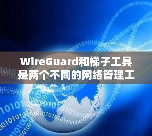 WireGuard和梯子工具是两个不同的网络管理工具，各自具备不同的功能和应用场景。以下是对它们的详细分析