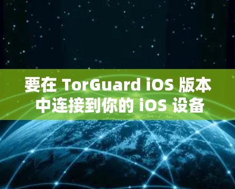 要在 TorGuard iOS 版本 中连接到你的 iOS 设备，可以通过以下步骤操作