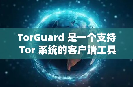 TorGuard 是一个支持 Tor 系统的客户端工具，旨在为个人用户提供访问 Tor 网络的安全环境。以下是 TorGuard 的详细介绍和分析，帮助你做出决策