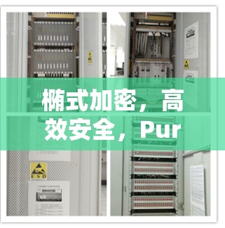 椭式加密，高效安全，PureVPN 安卓客户端