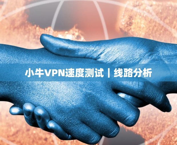 小牛VPN速度测试｜线路分析