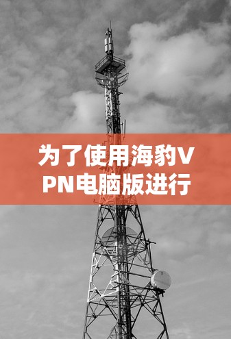 为了使用海豹VPN电脑版进行 Windows VPN，您可以按照以下步骤进行操作