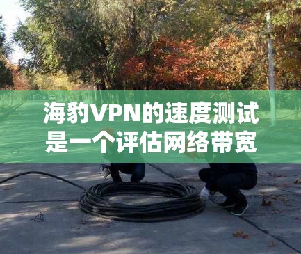 海豹VPN的速度测试是一个评估网络带宽和VPN性能的重要工具，帮助用户了解在使用VPN时的带宽变化和延迟情况。以下是关于海豹VPN速度测试的详细分析