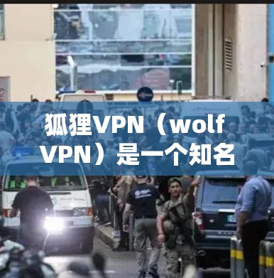 狐狸VPN（wolf VPN）是一个知名的网络加密软件，主要用于提供 secure 的网络访问。以下是关于狐狸VPN的安卓版本以及手机VPN教程的详细介绍