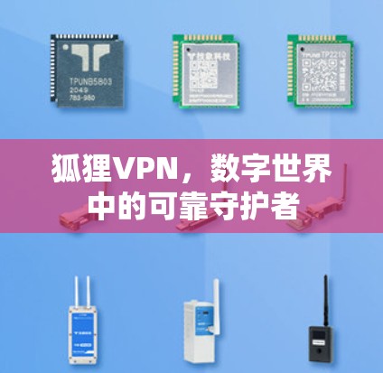 狐狸VPN，数字世界中的可靠守护者