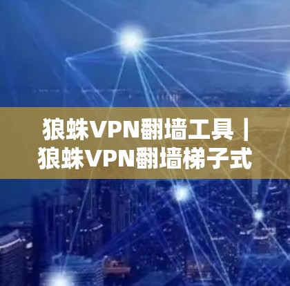 狼蛛VPN翻墙工具｜狼蛛VPN翻墙梯子式设计