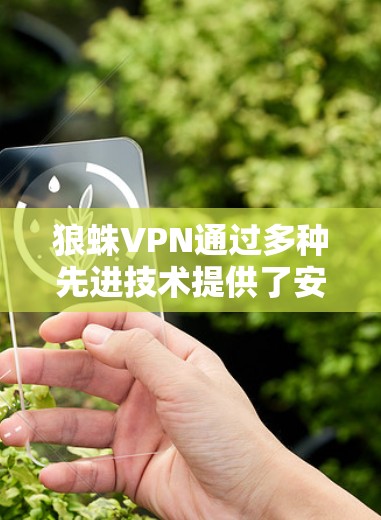 狼蛛VPN通过多种先进技术提供了安全和高效访问的保障，特别适用于海外访问者。以下是狼蛛VPN科学上网的主要优势