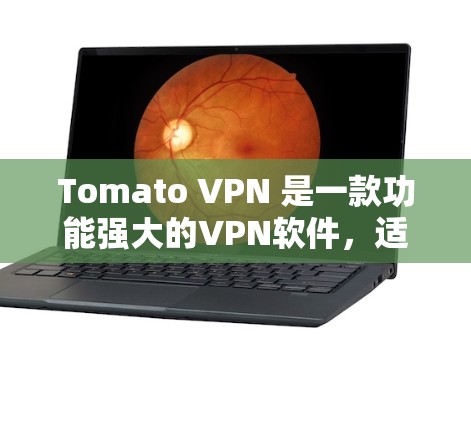 Tomato VPN 是一款功能强大的VPN软件，适合在本地电脑上使用，支持手机端和多设备连接，提供了高速连接和隐私保护。以下是详细的使用步骤和注意事项