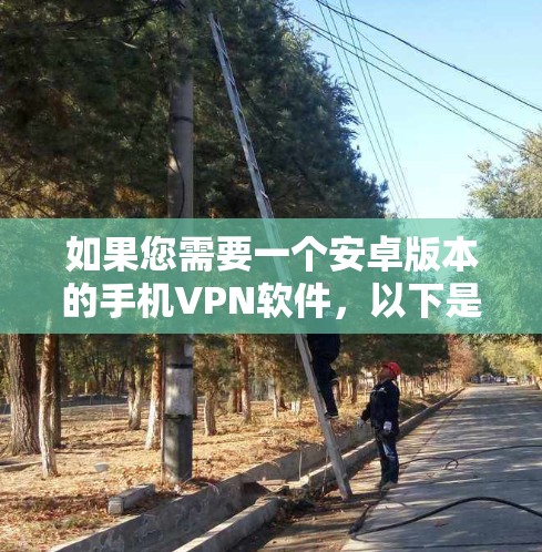 如果您需要一个安卓版本的手机VPN软件，以下是一些推荐的选项