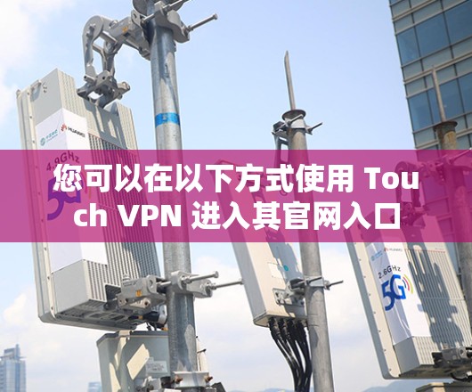 您可以在以下方式使用 Touch VPN 进入其官网入口