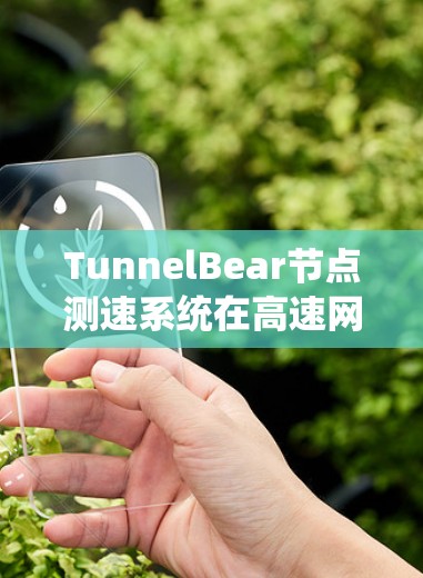 TunnelBear节点测速系统在高速网络中的应用与优化
