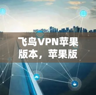 飞鸟VPN苹果版本，苹果版飞鸟VPN的详细解析