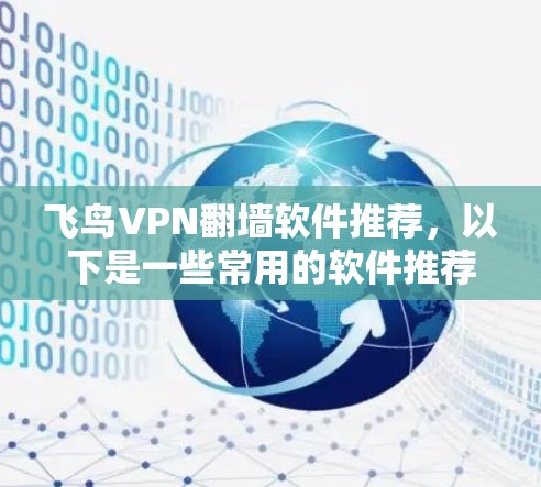 飞鸟VPN翻墙软件推荐，以下是一些常用的软件推荐，这些软件通常用于VPN服务，但部分可能允许翻墙