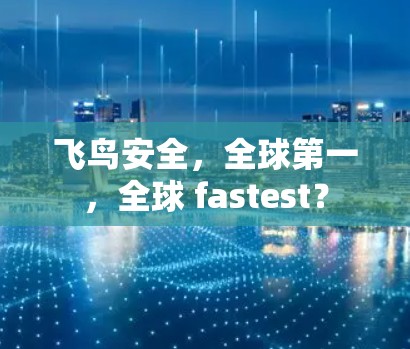 飞鸟安全，全球第一，全球 fastest？
