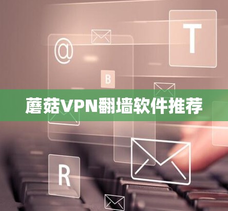 蘑菇VPN翻墙软件推荐