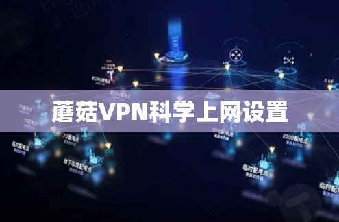 蘑菇VPN科学上网设置