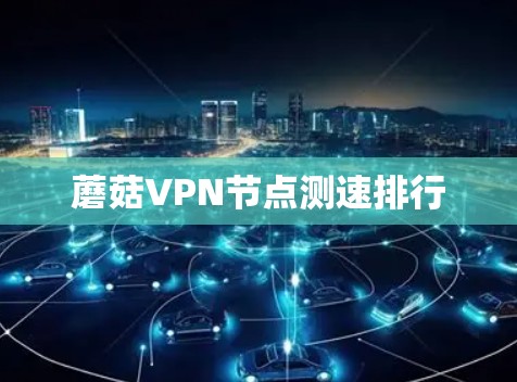 蘑菇VPN节点测速排行