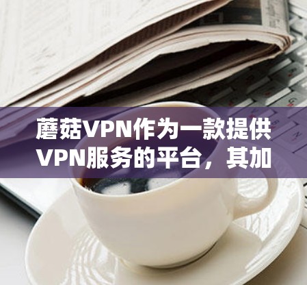 蘑菇VPN作为一款提供VPN服务的平台，其加速功能和体验可以从以下几个方面进行总结和评价
