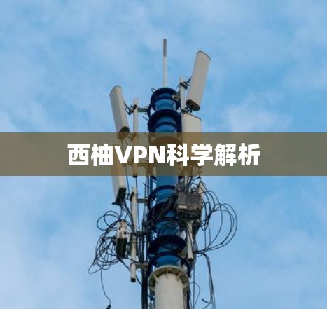 西柚VPN科学解析