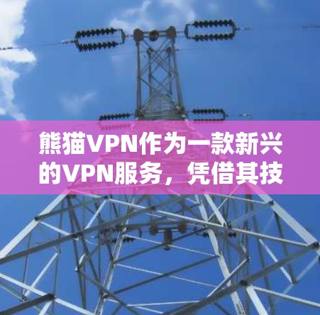 熊猫VPN作为一款新兴的VPN服务，凭借其技术优势和丰富的配置，提供了快速连接和安全访问的体验。以下是关于熊猫VPN的详细介绍