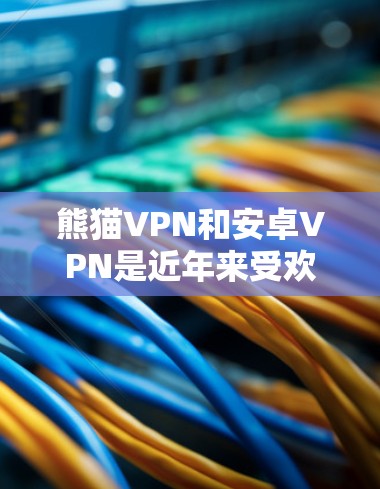 熊猫VPN和安卓VPN是近年来受欢迎的VPN服务，各自在安全性和功能上各有特点。以下是详细的使用指南和对比分析