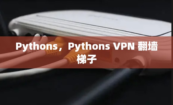 Pythons，Pythons VPN 翻墙梯子