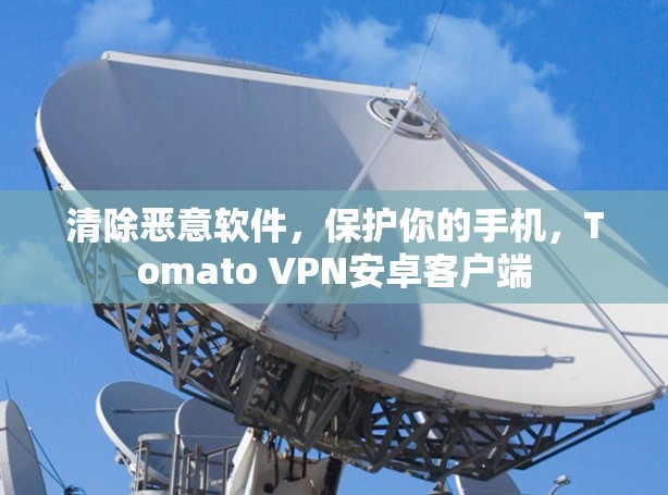 清除恶意软件，保护你的手机，Tomato VPN安卓客户端