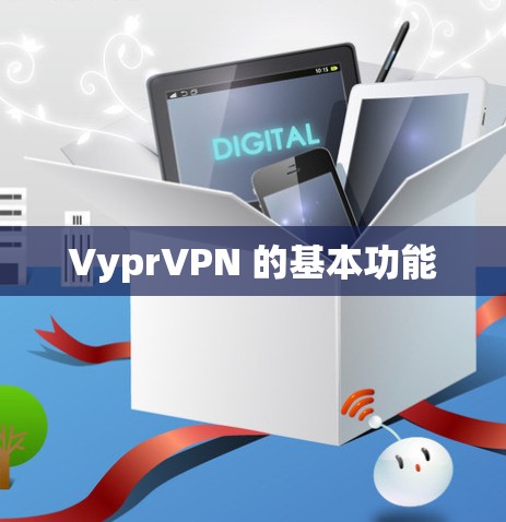 VyprVPN 的基本功能