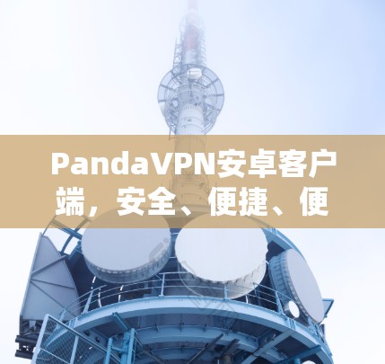 PandaVPN安卓客户端，安全、便捷、便携