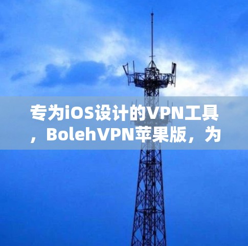 专为iOS设计的VPN工具，BolehVPN苹果版，为企业和个人打造高效传输解决方案