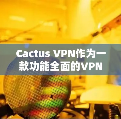 Cactus VPN作为一款功能全面的VPN服务，其iOS版本提供了多种协议支持，包括VPN、VPN流媒体和加密支付。以下是关于Cactus VPN iOS版本的详细信息