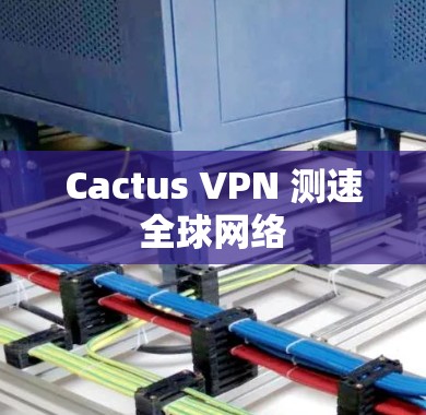Cactus VPN 测速全球网络