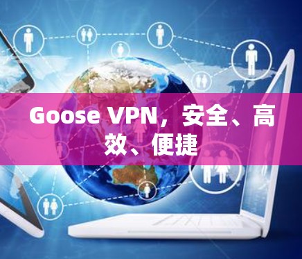 Goose VPN，安全、高效、便捷