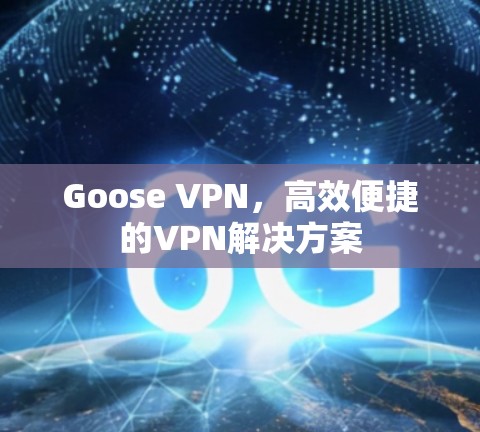 Goose VPN，高效便捷的VPN解决方案