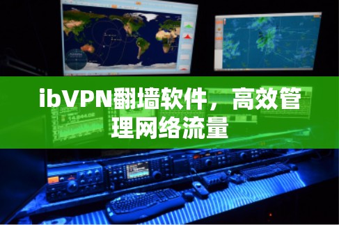 ibVPN翻墙软件，高效管理网络流量